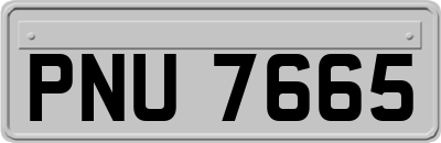 PNU7665