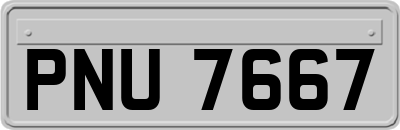PNU7667