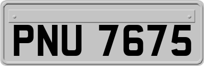 PNU7675