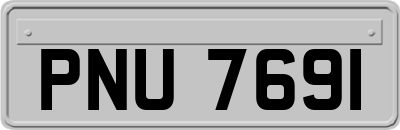 PNU7691