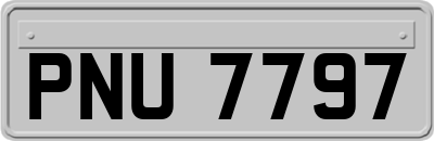 PNU7797