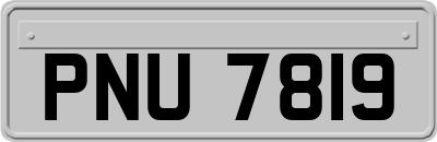 PNU7819