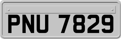 PNU7829
