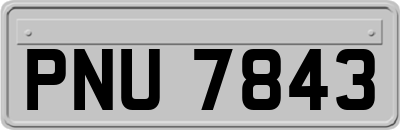 PNU7843