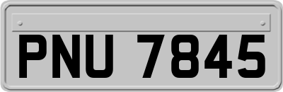 PNU7845