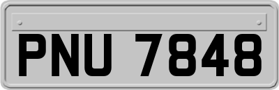 PNU7848