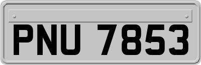 PNU7853