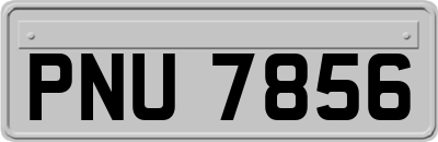 PNU7856