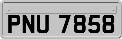 PNU7858
