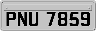 PNU7859
