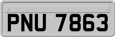 PNU7863