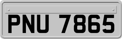 PNU7865