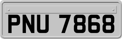 PNU7868