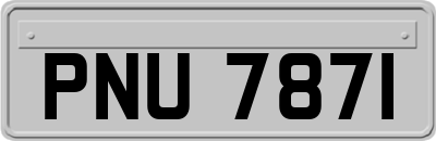 PNU7871