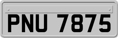 PNU7875