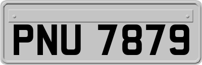 PNU7879