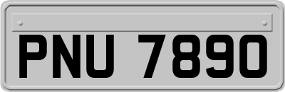 PNU7890