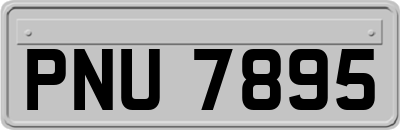 PNU7895