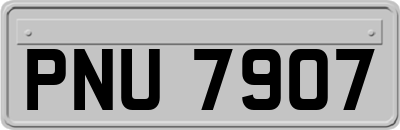 PNU7907