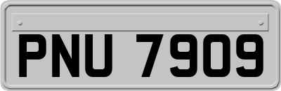 PNU7909