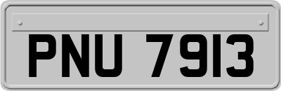 PNU7913