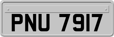 PNU7917