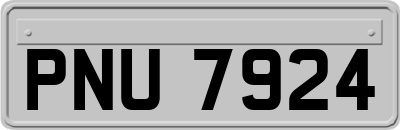 PNU7924