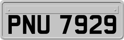 PNU7929