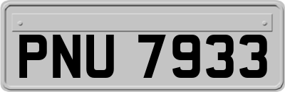 PNU7933
