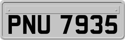 PNU7935