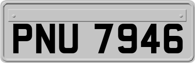 PNU7946