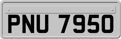 PNU7950