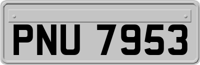 PNU7953