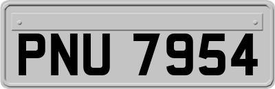PNU7954