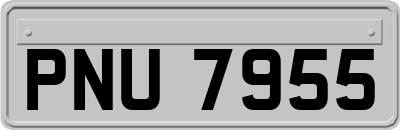 PNU7955