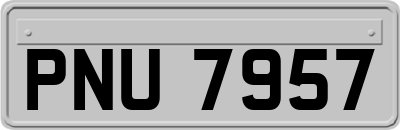 PNU7957