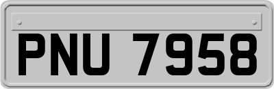 PNU7958