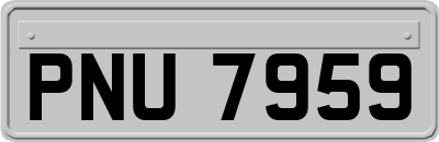 PNU7959
