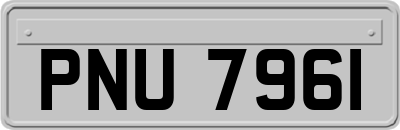 PNU7961