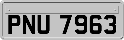 PNU7963
