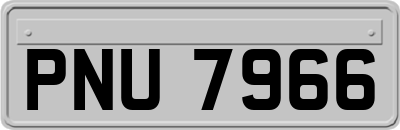 PNU7966