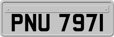 PNU7971