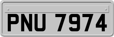PNU7974