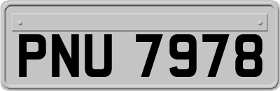 PNU7978