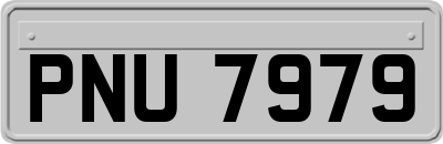 PNU7979