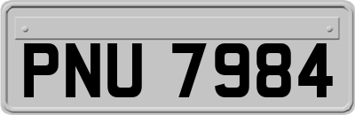PNU7984
