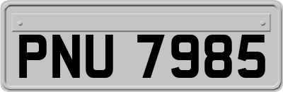 PNU7985