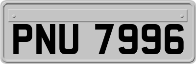 PNU7996