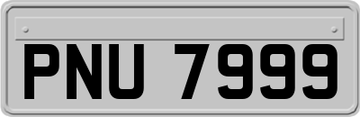 PNU7999