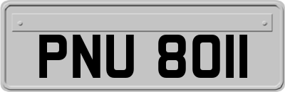 PNU8011